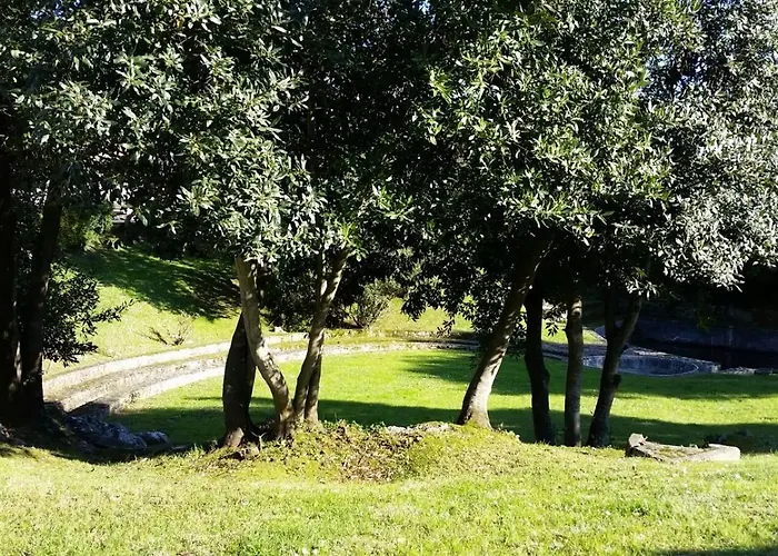 Mar Y Montana Laredo