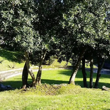 Mar Y Montana לרדו